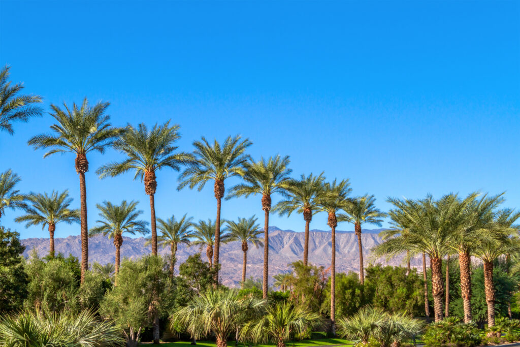 Coachella Valley, California